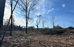 - Pettey Road, Forest, MS 39074