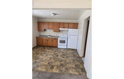 1521 Electric Avenue, Lincoln Park, MI 48146