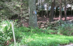42 Lake Road, Bozrah, CT 06334