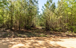 0 WHITAKER Road, Dearing, GA 30808