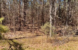 980 Lake Avenue, Lake Luzerne, NY 12846