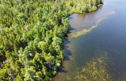 Goulding Lake Road lot: 6, Robbinston, ME 04671