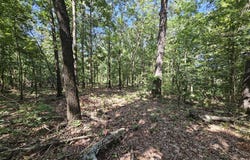 65 Acres Plainview Road, Anderson, MO 64831