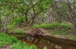 6265 County Road 208, Hico, TX 76457