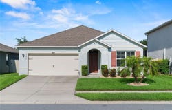 3817 HEARTLEAF LANE, MOUNT DORA, FL 32757