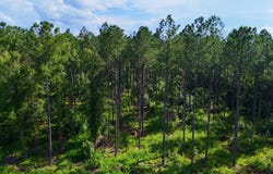 00 Landis Road, Winnsboro, SC 29180