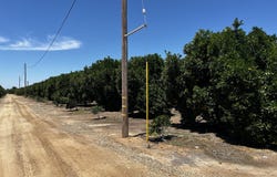 Road 164, Ivanhoe, CA 93235