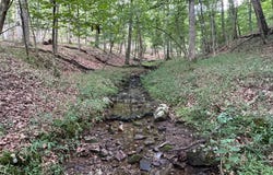 6.1 AC TRACT 21-C SOUTH POTOMAC TROUGH FARM II, MOOREFIELD, WV 26836