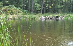 N3429 COUNTY ROAD C, Medford, WI 54451