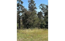 Tbd Ripley 142E-28A, Doniphan, MO 63939