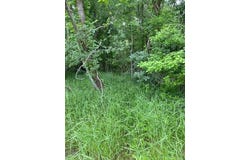 Lot 812 Kaukonahua LN, Bastrop, TX 78602