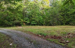 Lot 8 Murphy Lane, Mineral Bluff, GA 30559