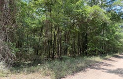 Toney Bay Road, Holly Hill, SC 29059