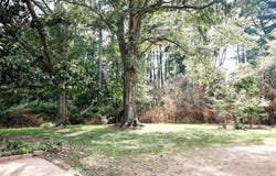 343 HWY 82, Winona, MS 38967