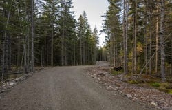 Seawall Map/Lot 17/11-04, Southwest Harbor, ME 04679