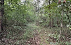 Bell Foley Road, Poughkeepsie, AR 72569