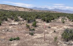 08-0592-03 Taylor Street, Button Point, Golconda, NV 89414