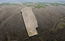 Hurricane Creek Road lot: 1, Linden, TN 37096