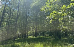 Lot 27 Honeysuckle Trail, Lincolnton, GA 30817
