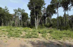 2101 Sibley Court, Ely, MN 55731
