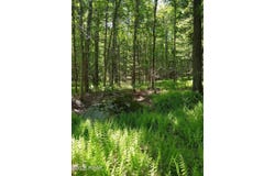 Pine Creek Road, Hawley, PA 18428