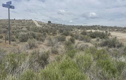 Pickering, Spring Creek, NV 89815
