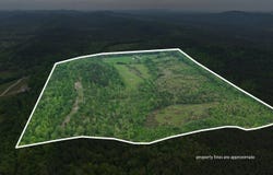 Tract 4-TBD Ryan Road, Oden, AR 71961