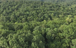 1121 Galbraith Rd., Brooksville, KY 41004