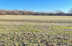100 Davis Grove Road, Bradford, TN 38316
