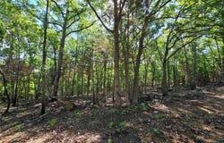 11111 Tall Oaks, Pittsburg, MO 65724