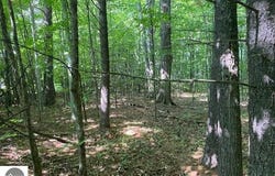 00 Birch Lake Road, Kewadin, MI 49676
