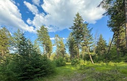 148 Tiny Acres Trail, Rexford, MT 59930
