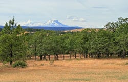 600 Centerville HWY, Lyle, WA 98635