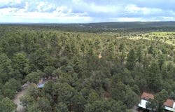 23 PHEASANT Drive, Tijeras, NM 87059
