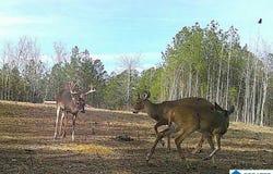 2718 OLD WOODSTOCK ROAD, WEST BLOCTON, AL 35184