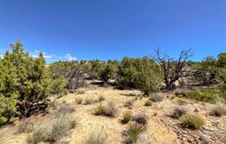1530 VISTA HERMOSA Trail, Farmington, NM 87401