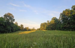 004 Tomahawk Slab Road, Saint Joe, AR 72675