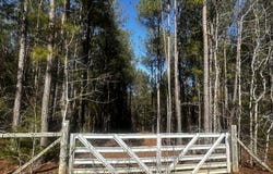 0 BURKS MOUNTAIN Road, Appling, GA 30802