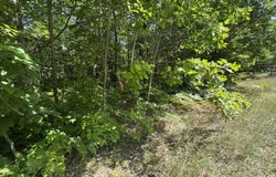 Deer Run Rd, Kinross, MI 49752