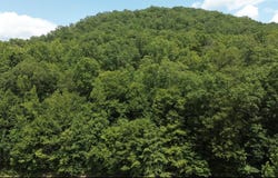 0 Greenbrier Road, Garrison, KY 41141