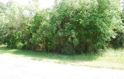 27183 Whispering Meadow Drive, Whitney, TX 76692