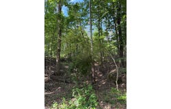 80 County Road 5009, COMO, MS 38619