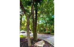 384 Miller Place Road., Miller Place, NY 11764
