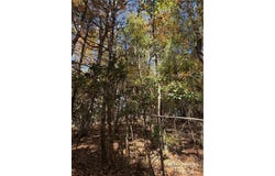 W Seventy Sixth Drive, West Jefferson, NC 28694