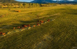County Rd 554, Gardner, CO 81040