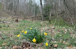 2572 Williams Branch, Flat Gap, KY 41219