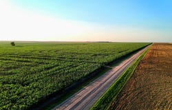 TBD 300th Ave, Nekoma, KS 67559