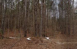 Alabama Highway 9, Cedar Bluff, AL 35959