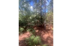 1529 Elbert Taylor Road, Pelion, SC 29123