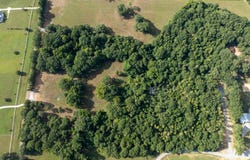 0  Fallen Oak Cove, Flora, MS 39071